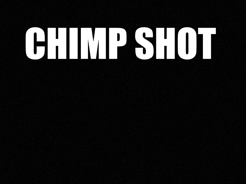 CHIMP SHOT