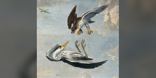 Cover image for Where Eagles Dare!