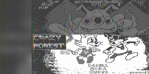 Cover image for Crazy Forest