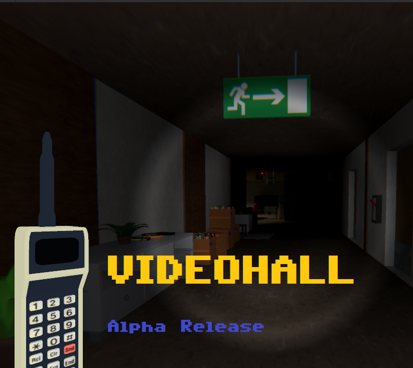 Cover image for Videohall