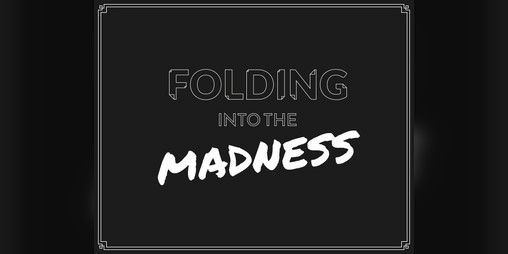 Cover image for FOLDING INTO THE MADNESS