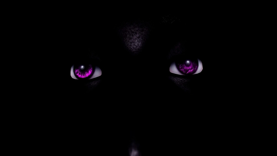 Cover image for Apostate