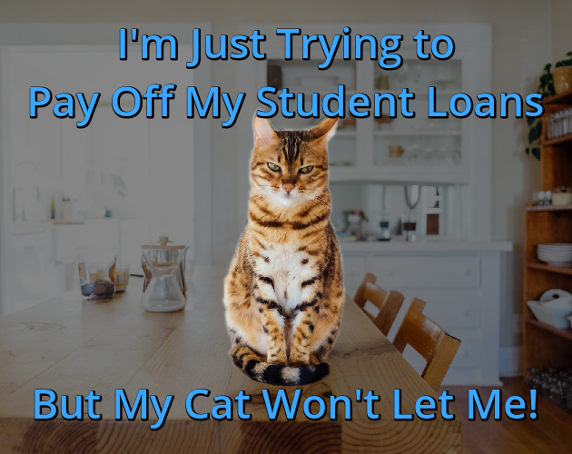 I'm Just Trying to Pay Off My Student Loans But My Cat Won't Let Me