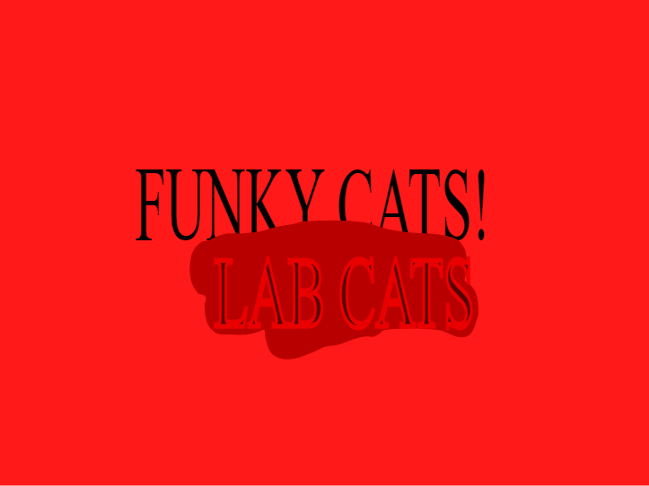 FUNKY CATS: LABCATS