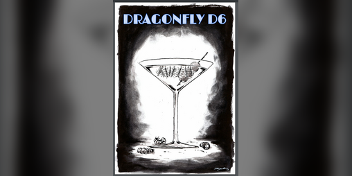 Cover image for DRAGONFLY D6