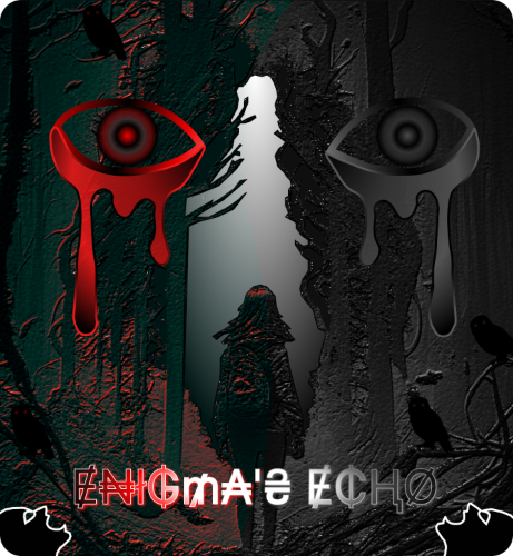Enigma's Echo cover
