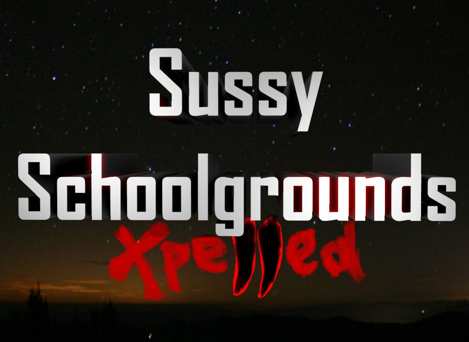 Cover image for Sussy Schoolgrounds: Expelled