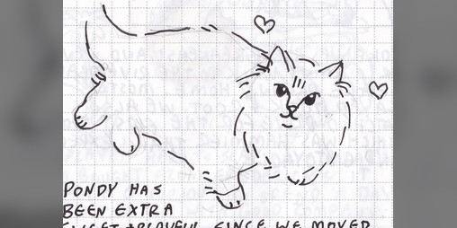 Cover image for Summer 2023 Hobonichi