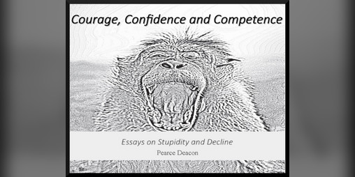 Cover image for Courage, Confidence and Competence