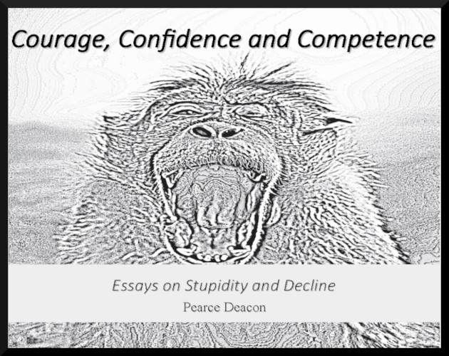 Cover image for Courage, Confidence and Competence