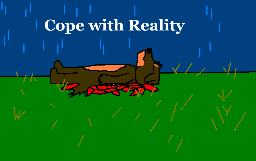 Cope with Reality