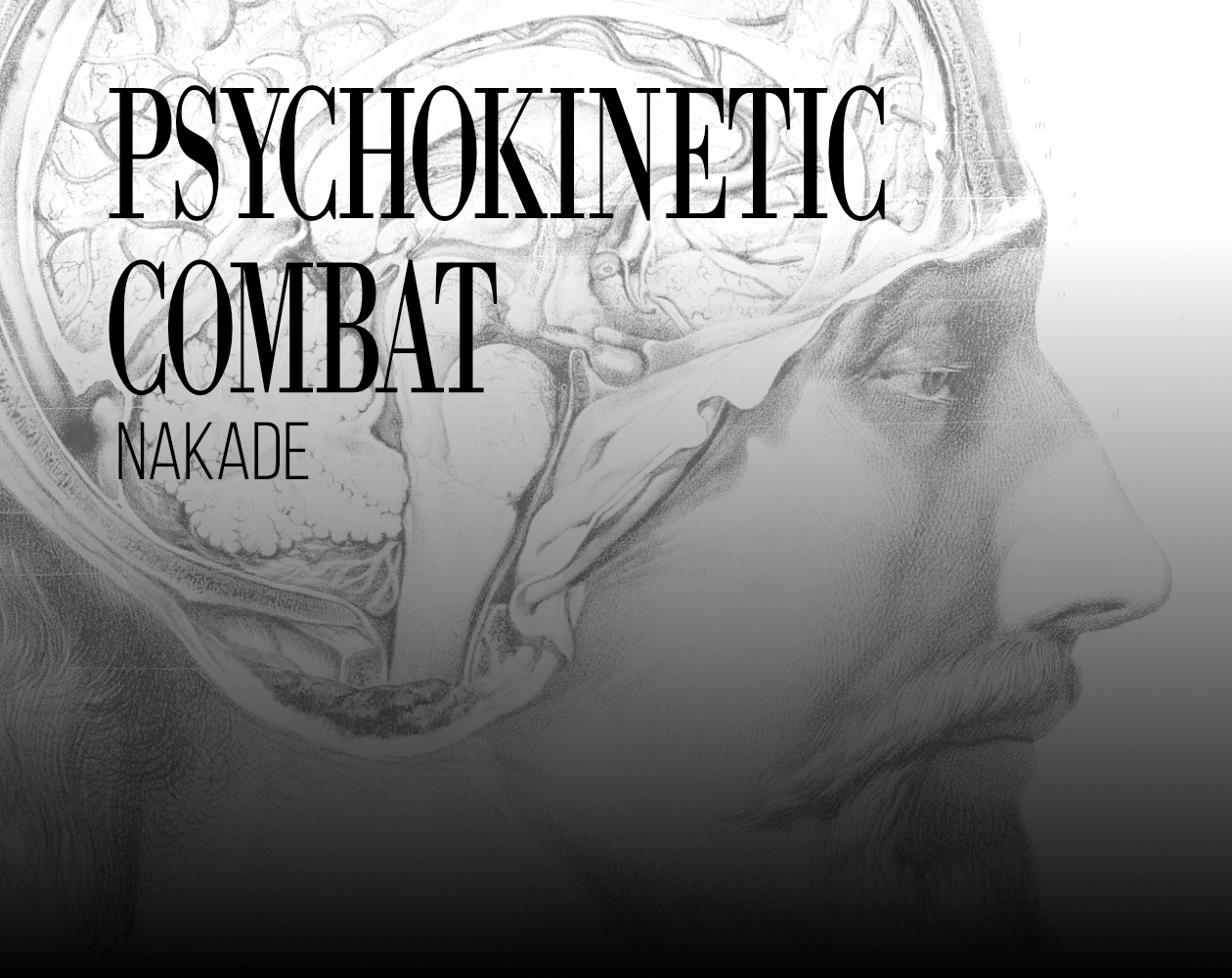 Cover image for Psychokinetic Combat