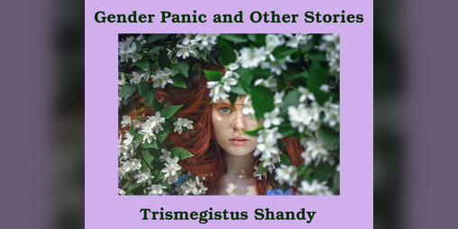Cover image for Gender Panic and Other Stories