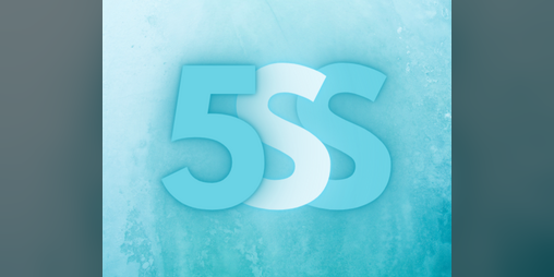 Cover image for The 5-Second Simulation
