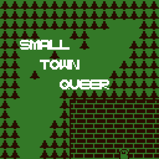 Cover image for Small Town Queer