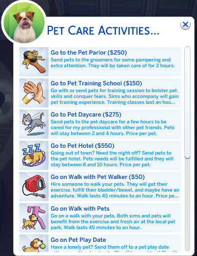 more-pet-care-activities-by-adeepindigo