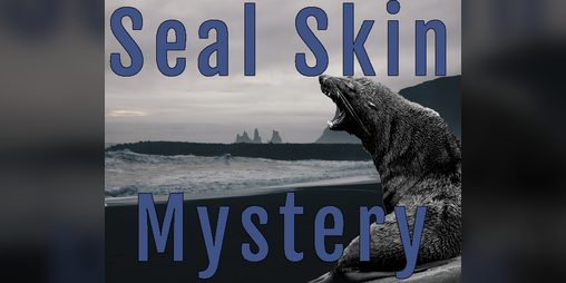 Cover image for Seal Skin Mystery