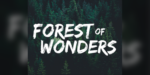 Cover image for Forest of Wonders