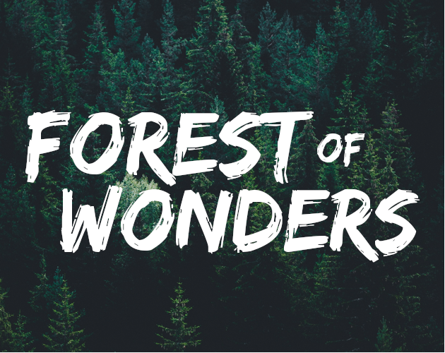 Cover image for Forest of Wonders