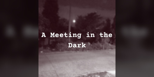 Cover image for A Meeting in the Dark