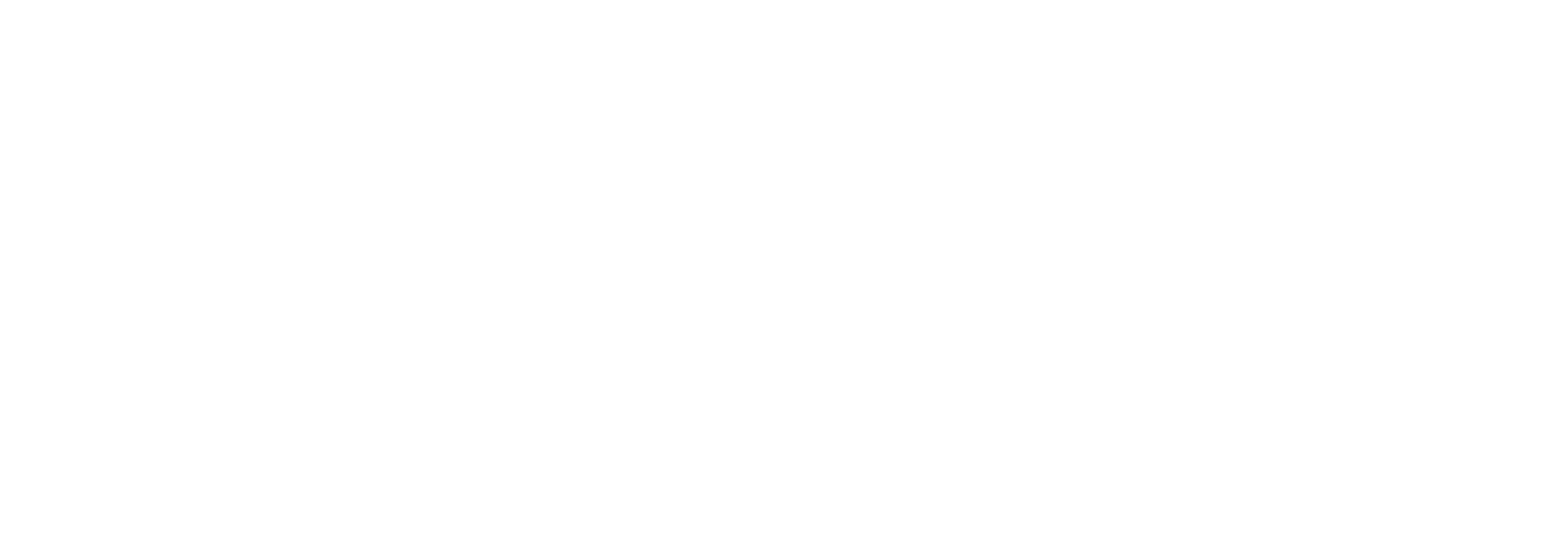 The Dark Blade by Wojtek Rosiński