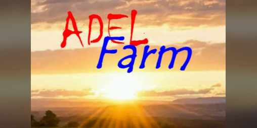 Cover image for Adel Farm