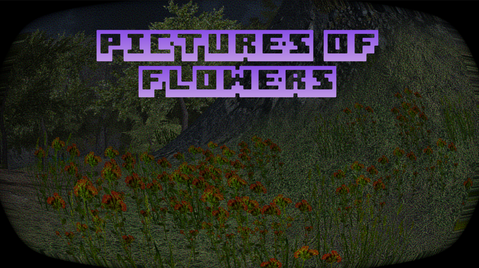Cover image for Pictures of flowers among other things