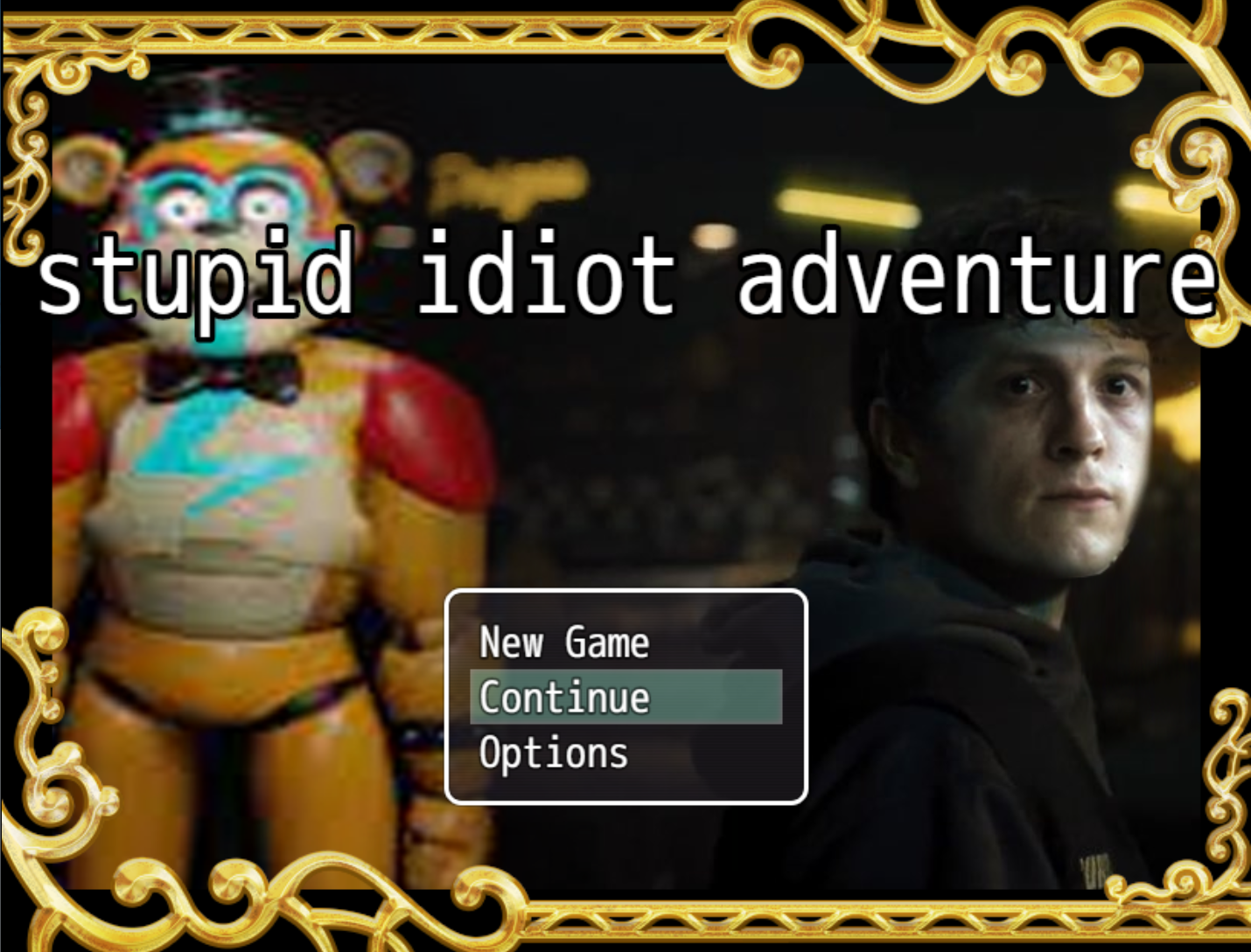 Stupid Idiot Adventure cover