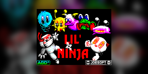 Cover image for Lil' Ninja