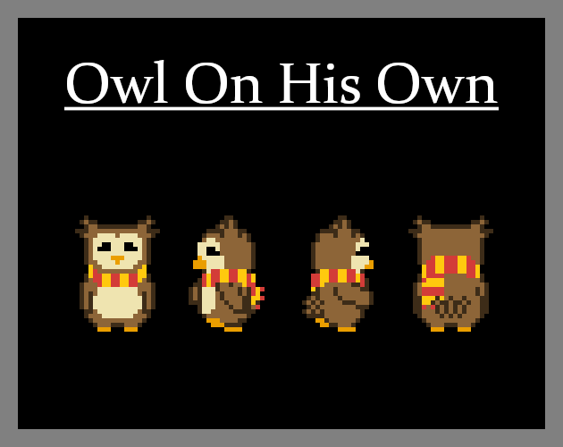 Cover image for Owl On His Own