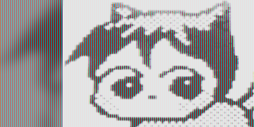 Cover image for catboiz - a curious contemplation