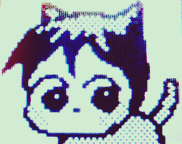 Cover image for catboiz - a curious contemplation