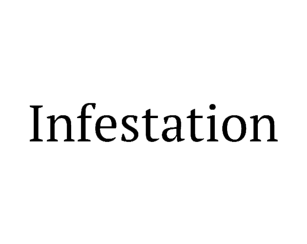 Infestation