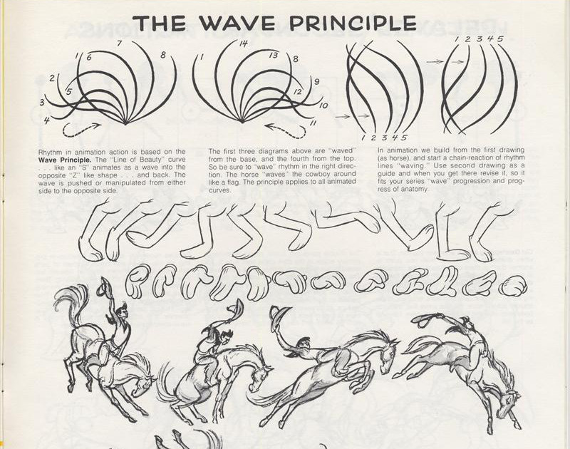 The Wave Priciple