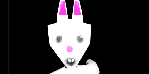 Cover image for The Bunnyman