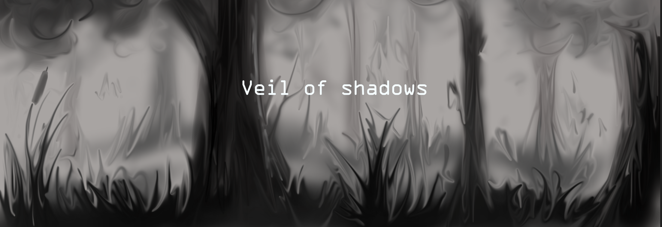 Veil of shadows