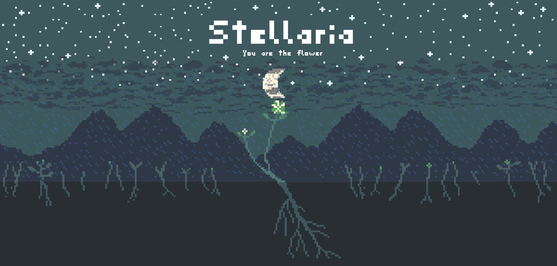 Stellaria