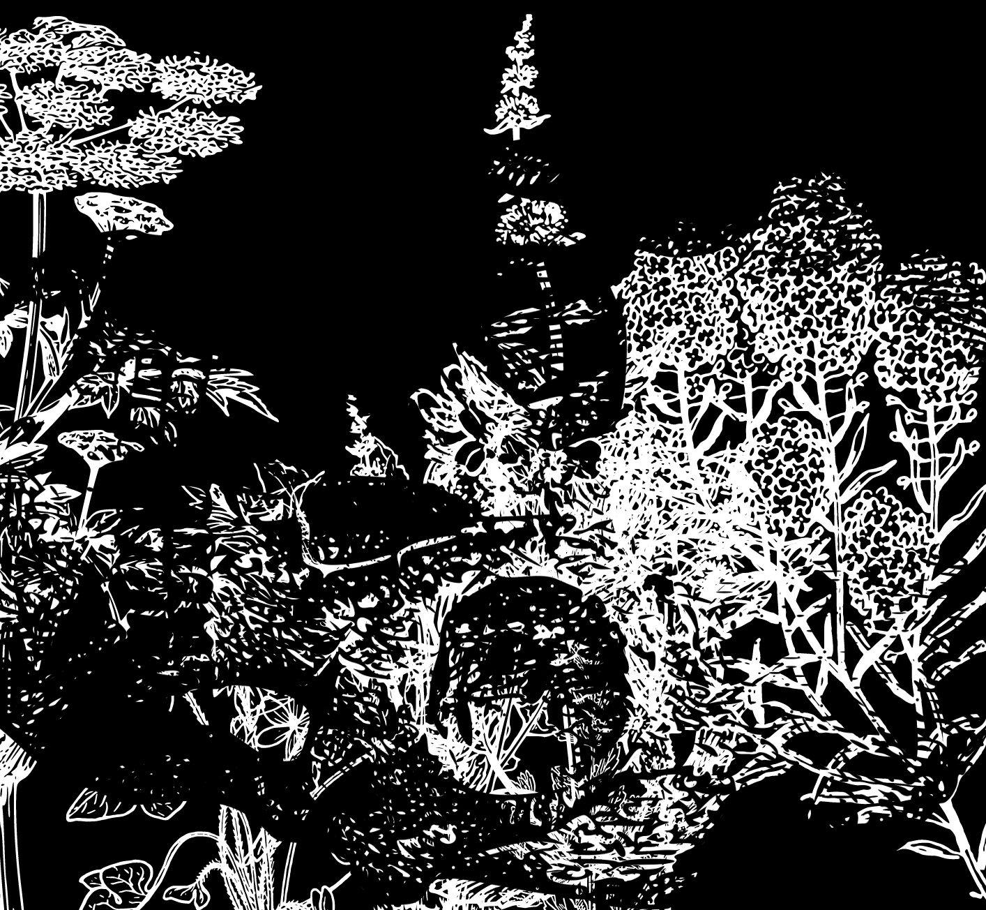 Cover image for Мрачнотравье