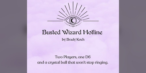 Cover image for Busted Wizard Hotline