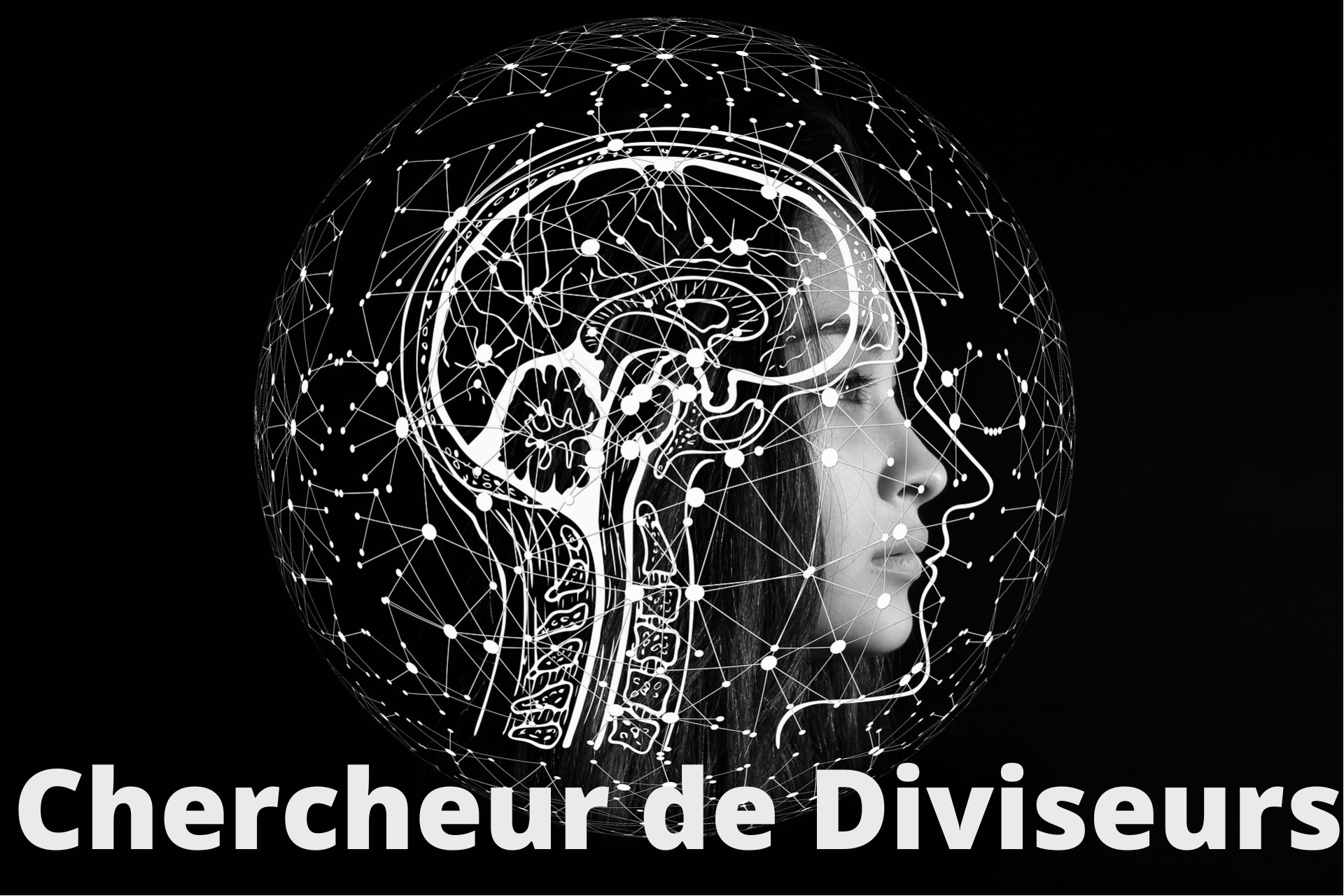 Chercheur de diviseurs