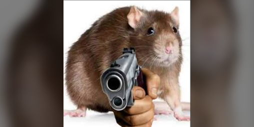 Cover image for Hungry Mouse VS Enemies Simulator