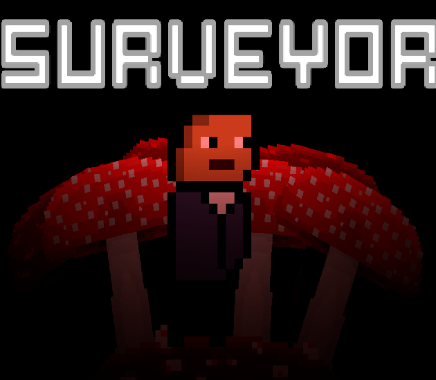 Cover image for Surveyor