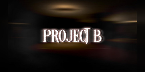 Cover image for PROJECT B