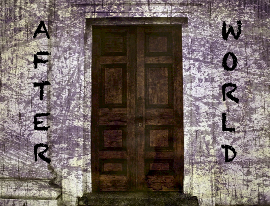 Cover image for Afterworld