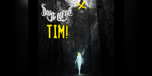 Cover image for TIM!