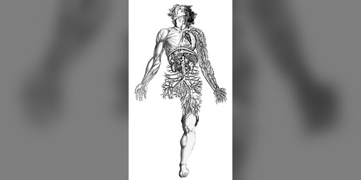 Cover image for Vat-born