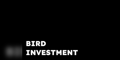 Cover image for Bird Investment