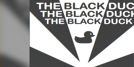 Cover image for The Black Duck