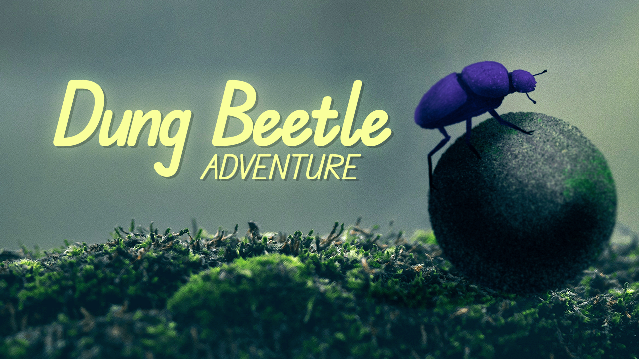 Dung Beetle Adventure