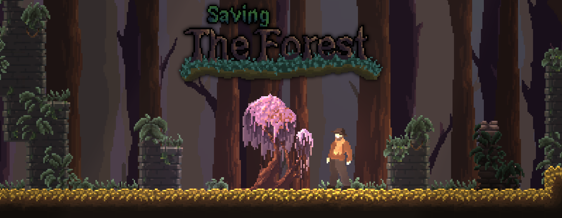 Saving The Forest